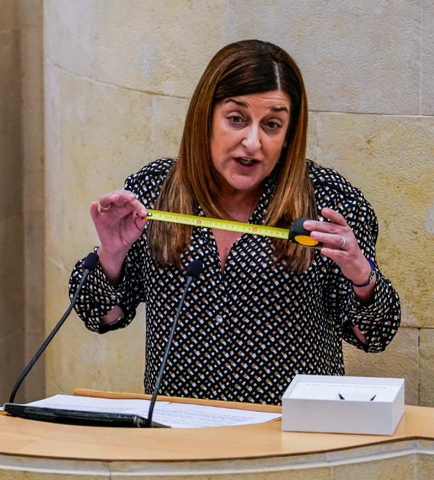 Revilla pide que se derive ya a Cantabria trenes menos viejos