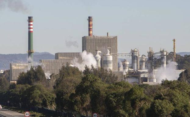 El Supremo da la razón a Ence y avala la continuidad de la factoría en la Ría de Pontevedra