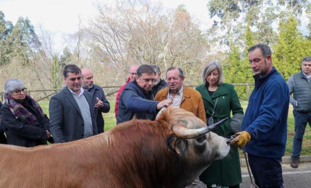 «Si son necesarias extracciones de lobos, se harán», asegura Luis Planas