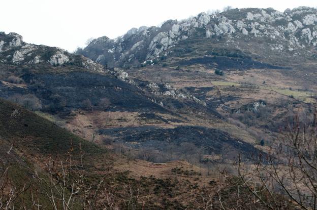 Los incendios forestales en Asturias siguen sin dar tregua