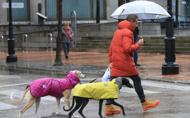 El frío y la nieve en cotas bajas vuelven a poner a Asturias en alerta