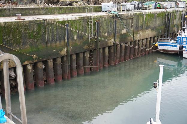 «No podemos paralizar el puerto de Llanes durante la campaña de la xarda»