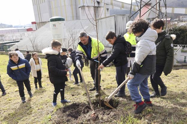 Escolares de Riaño plantan árboles en la fábrica de Masaveu