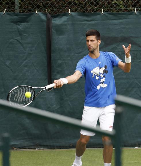 Djokovic-Federer, posible semifinal en Wimbledon