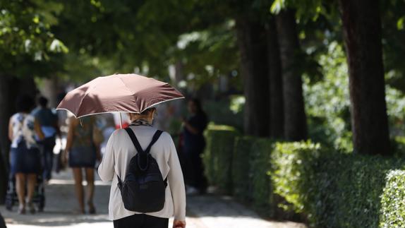 La vida podría alargarse con una mejor planificación urbana