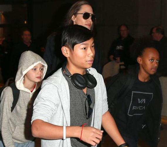 Madoxx, la clave del divorcio Jolie-Pitt