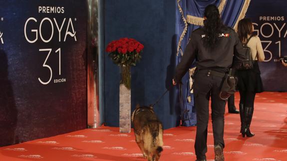 El ladrón de las joyas de los Goya: «Pensé que eran baratijas y las cogí como recuerdo»