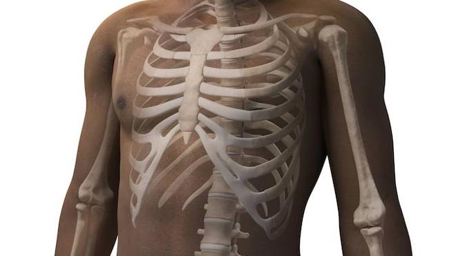 Descubren dos biomarcadores que identifican el riesgo de sufrir osteoporosis