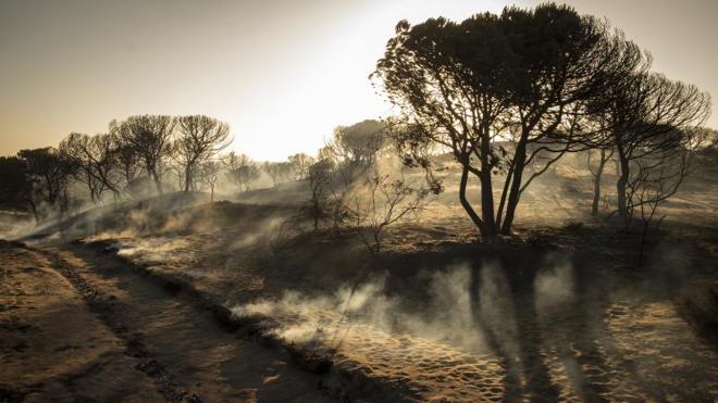 El incendio de Doñana queda controlado tres días después