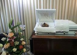 Velan a un perro en una funeraria de Puerto Rico