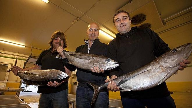 El 'campanu' del bonito, de récord