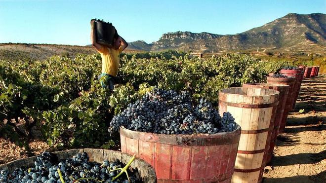 Haro, de donde vienen la luz y el vino