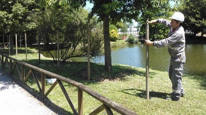 Un pastor eléctrico contra las nutrias en Isabel la Católica