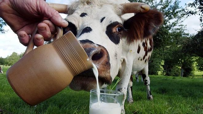 La leche mejora su calidad "de forma notable", pero es más cara