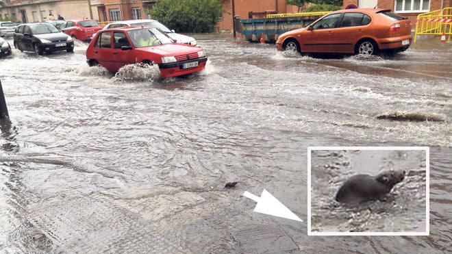 Los vecinos de Santa Apolonia piden una solución para las inundaciones