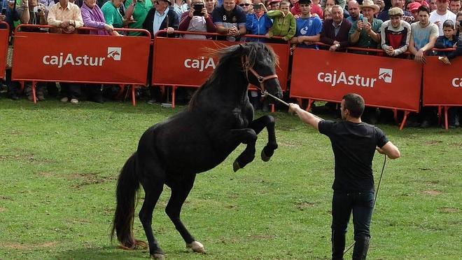 'Indomable', el rey del Sueve