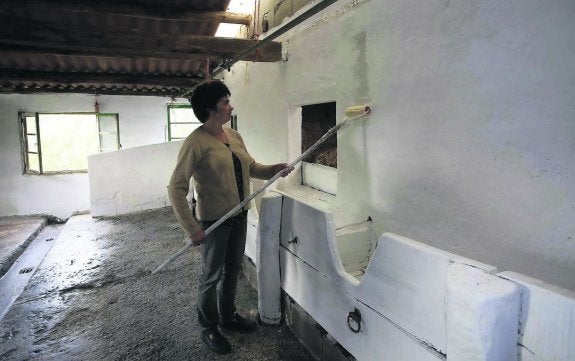 Agroganadería investiga las causas del foco de tuberculosis bovina en Parres