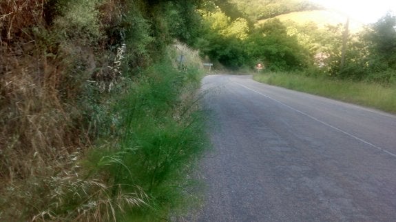 Foro reclama la reparación integral de la carretera entre Caborana y Cabañaquinta