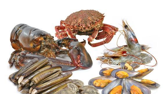 Cómo congelar el marisco