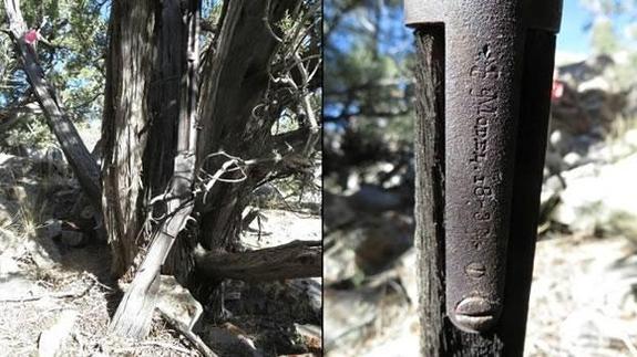 Encuentran un rifle de 132 años apoyado en un árbol de un Parque Nacional de Nevada