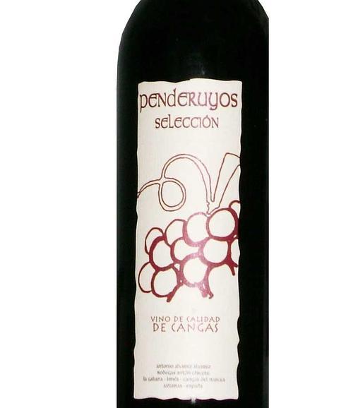 Penderuyos Selección