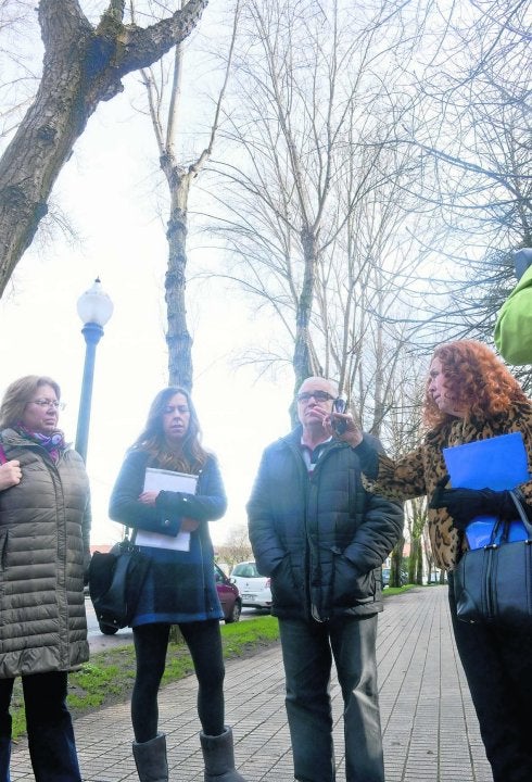 Los chopos del acceso a Las Mestas «suponen un riesgo inasumible» para las personas