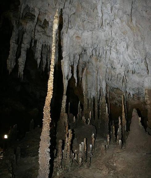 Encuentran en la cueva de Tito Bustillo un nuevo crustáceo