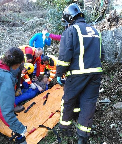 Herido grave tras caerle encima un árbol cuando cortaba madera en Taramundi