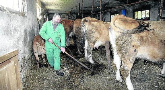 «Con el pago del Principado por las vacas sacrificadas solo podría comprar la mitad»