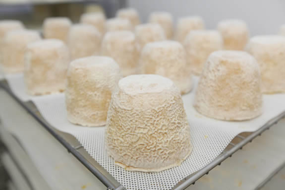 Las burbujas se unen a los quesos artesanos