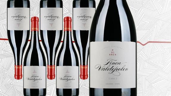 Pujanza Finca Valdepoleo