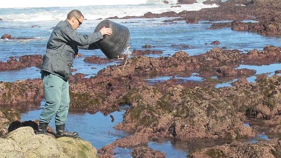 El Seprona tramita más de 80 denuncias por furtivismo en la pesca marítima