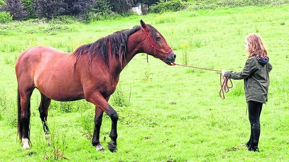 Una nueva vida para los caballos