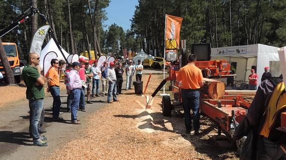 Más de 250 marcas y 130 expositores están presentes en la X Feria Astur Foresta