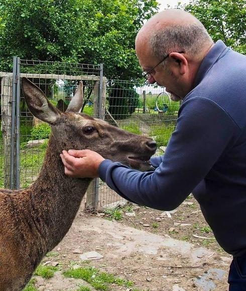 Bambi regresa a casa