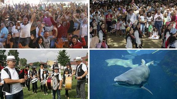 Todo lo que puedes hacer los días de los grandes conciertos del verano en Gijón