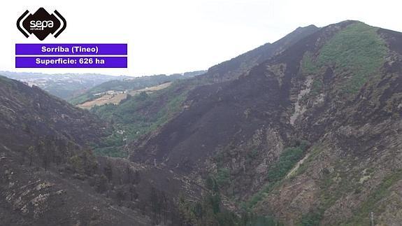 Así son los devastadores efectos del fuego en el suroccidente asturiano