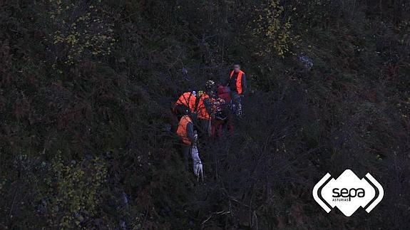 Un jabalí ataca a un cazador en Santo Adriano