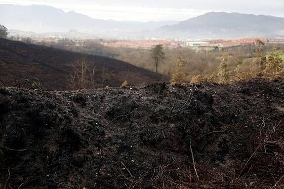 El Principado tilda de «desastre ecológico» los incendios y pedirá ayudas al Estado