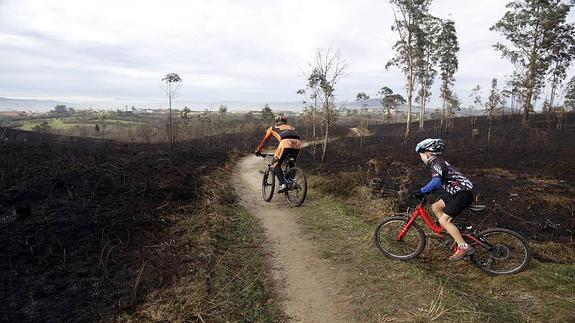 Los incendios forestales arrasaron más de 10.000 hectáreas en Asturias