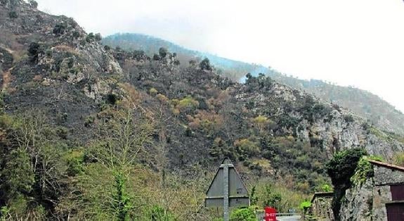 Detenido por un incendio en Cantabria un peñamellerano