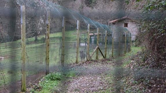 El Principado invierte cerca de 43.000 euros en el acceso al cercado del lobo de Belmonte