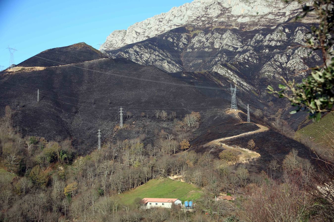 Asturias Ganadera lamenta la criminalización del sector y advierte de que «hay más pirómanos de lo que se cree»