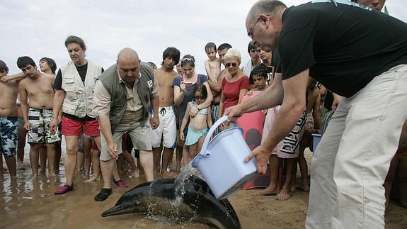 Cepesma rompe el convenio para la atención y recuperación de animales