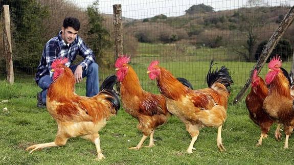 ¿Sabes cómo es el pitu de caleya de verdad?