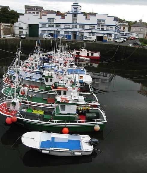El pulpo del Occidente, el primero del mundo en lograr la ecoetiqueta MSC por su pesca sostenible