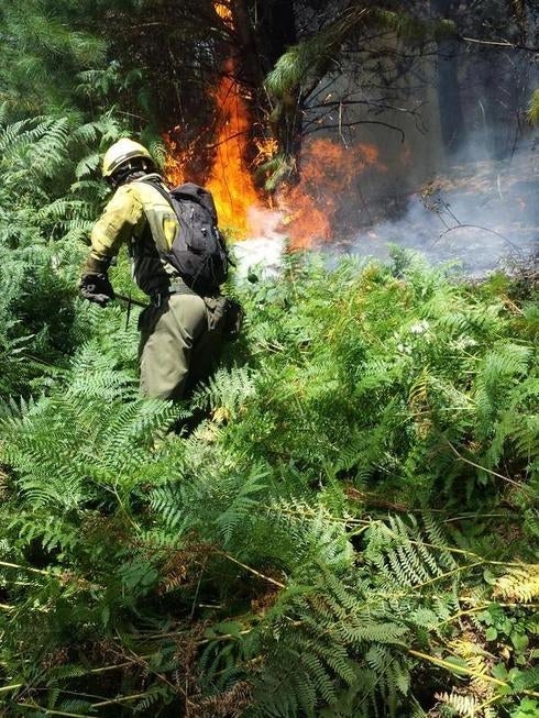 La Junta buscará depurar responsabilidades por la última oleada de incendios