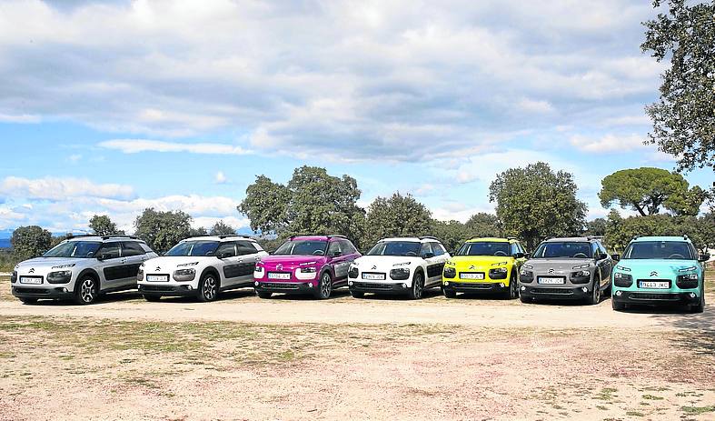 Cactus «camaleónico»