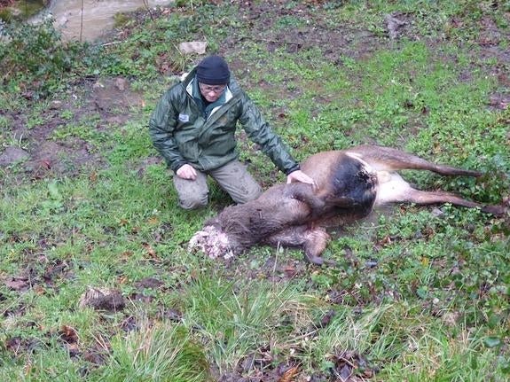 El Fapas denuncia tres focos de furtivismo en el parque de Las Ubiñas