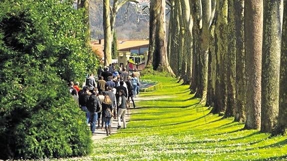 Donde los árboles cuentan historias